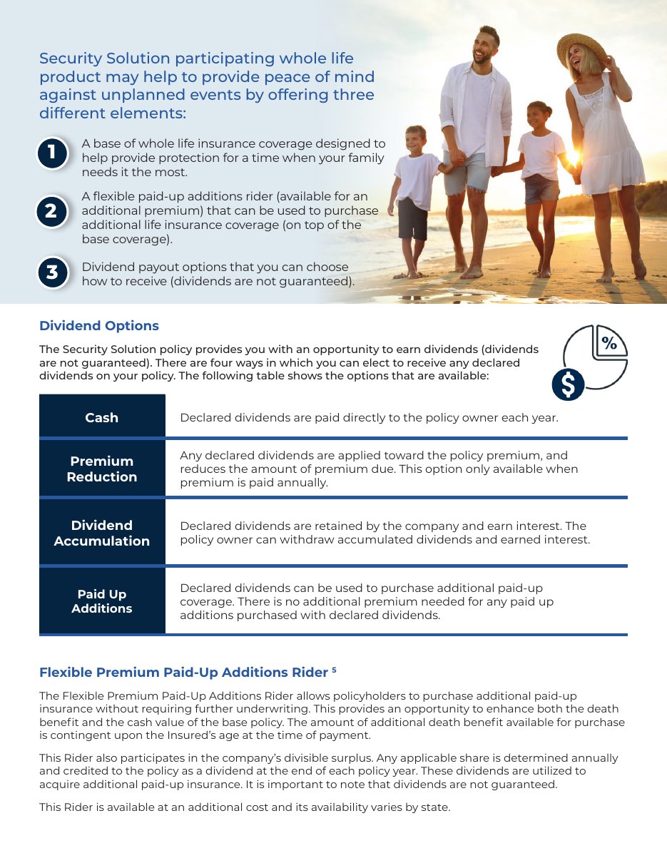 Security Solution brochure page 2